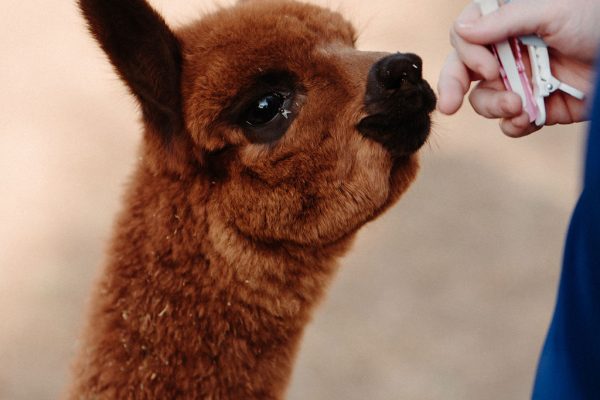 AnandiPhotography_19P8173