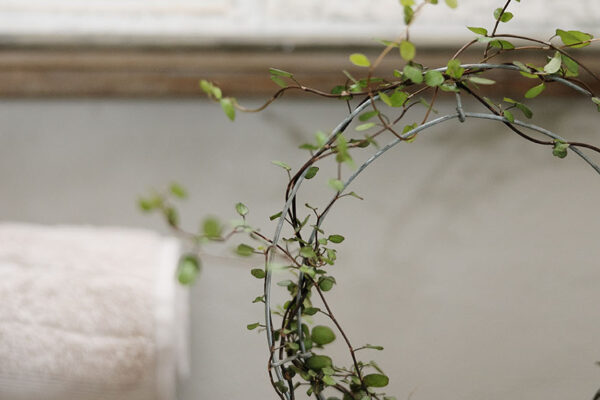 Ambers & Grace_Cottage-27