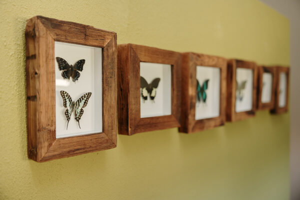 Ambers & Grace_Room 6-11